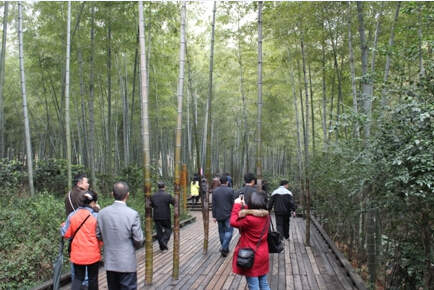 司能經(jīng)銷商•供應商游覽南山竹海